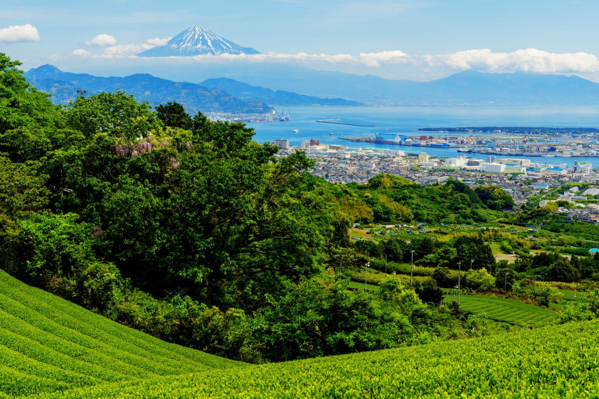 日本平