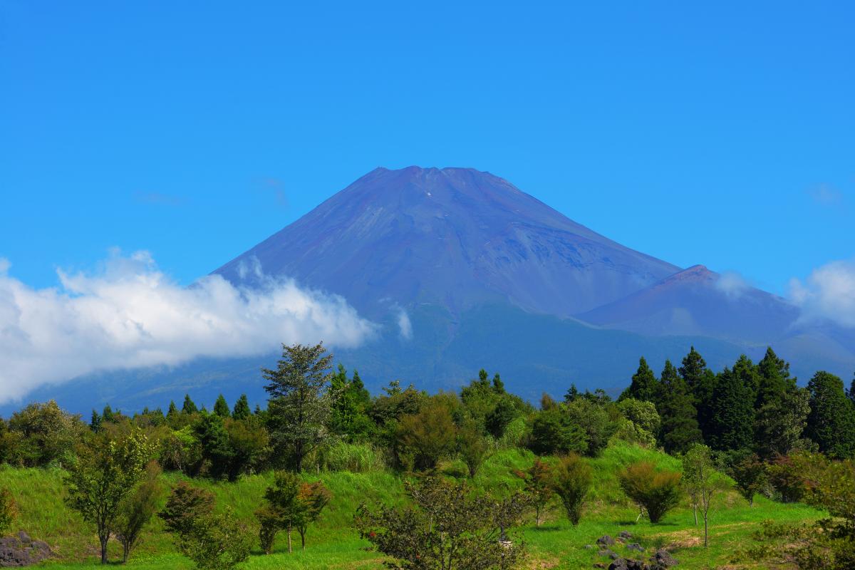 富士山こどもの国