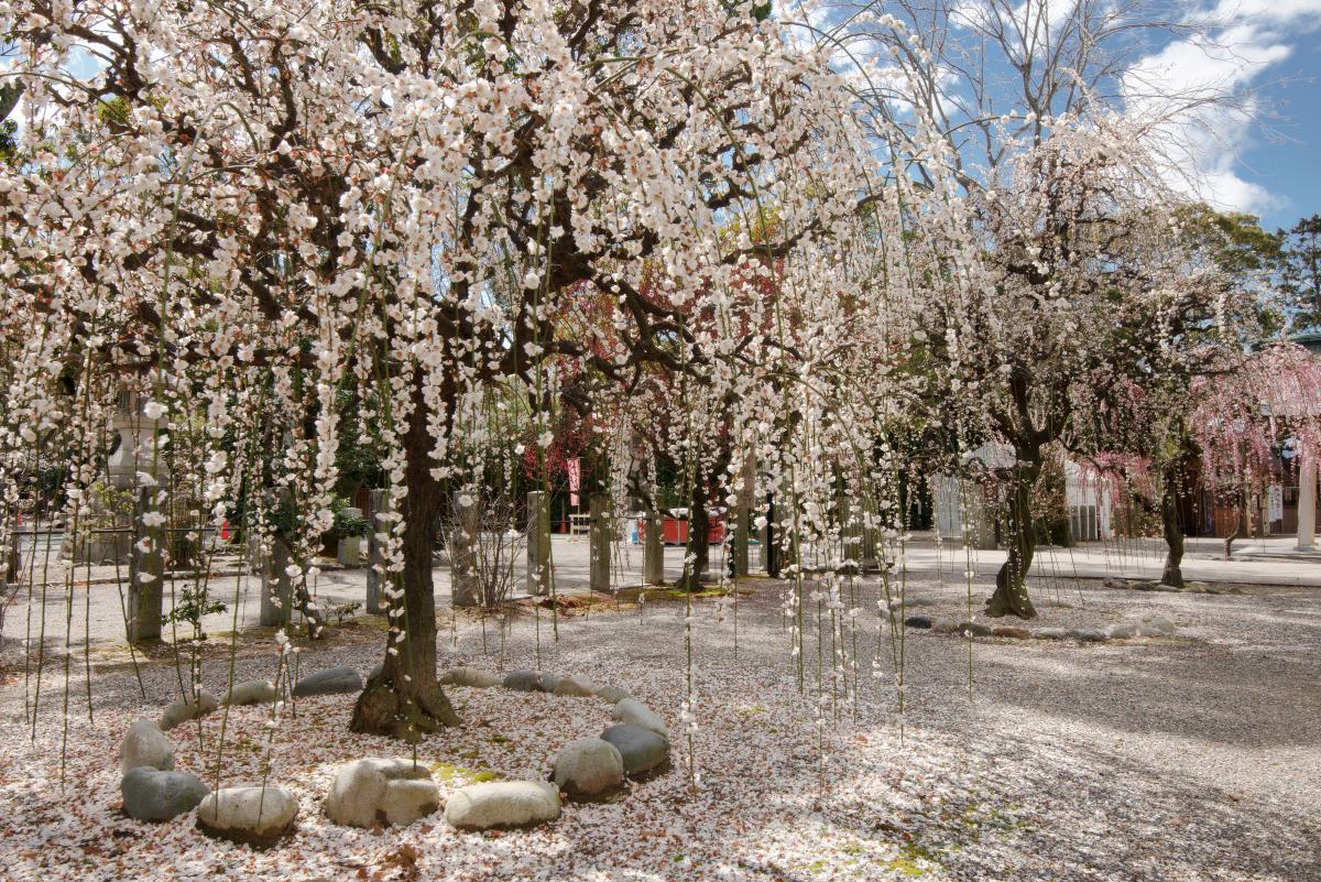 結城神社