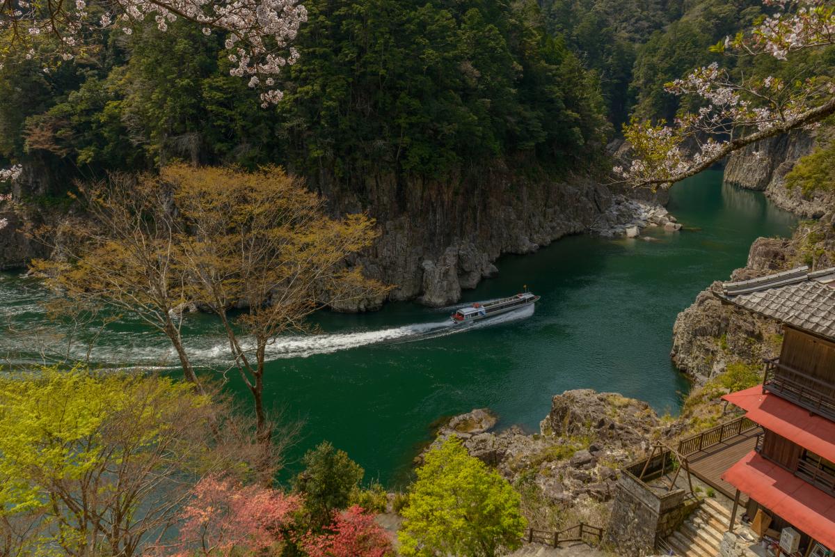 瀞峡 | Camelife