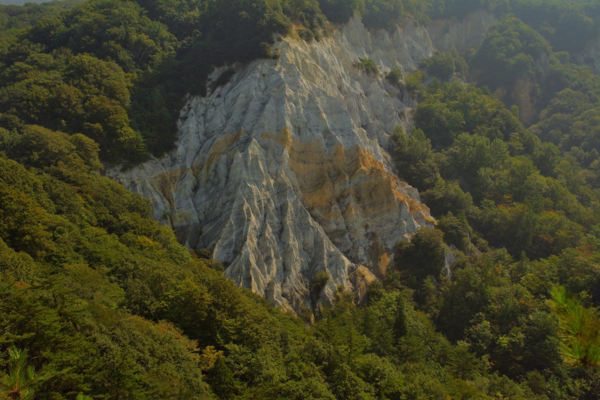 日本キャニオン