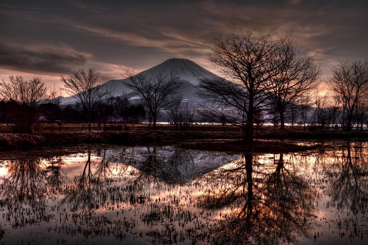 山中湖 交流プラザ「きらら」の池
